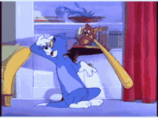 Deadman于2025-11-26 15:40发布的图片