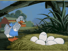 Deadman于2025-11-04 15:37发布的图片