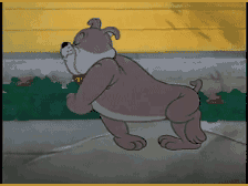 乃思兔米啾于2025-12-01 11:53发布的图片